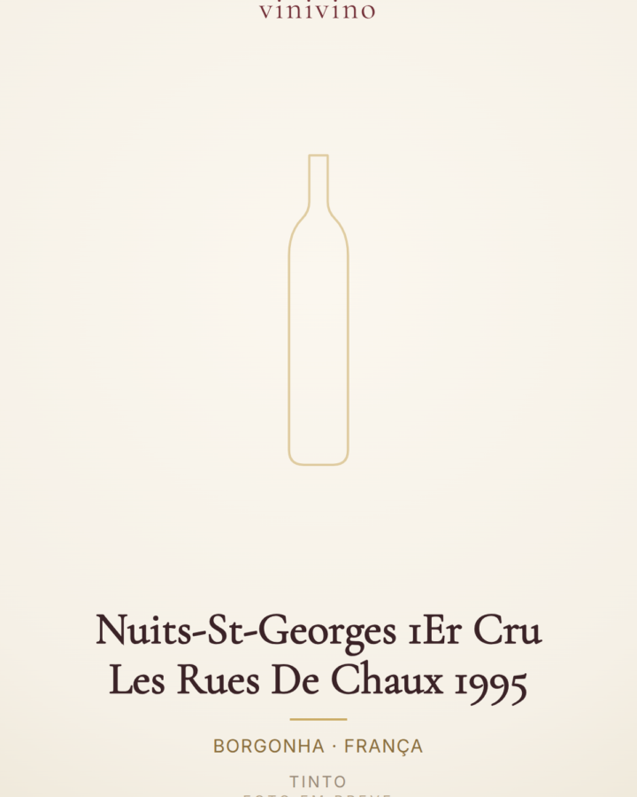 Nuits-St-Georges 1Er Cru Les Rues De Chaux 1995
